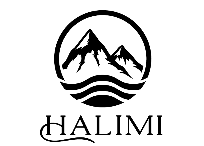 Giới thiệu về King Brand - Viet Nam Digital Marketing Agency