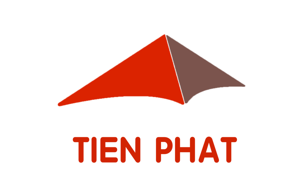 Giới thiệu về King Brand - Viet Nam Digital Marketing Agency