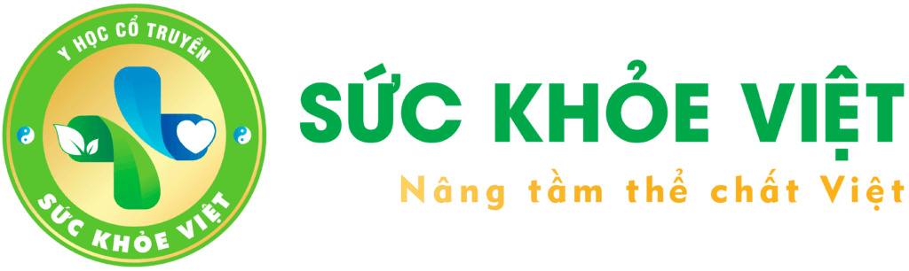 Giới thiệu về King Brand - Viet Nam Digital Marketing Agency
