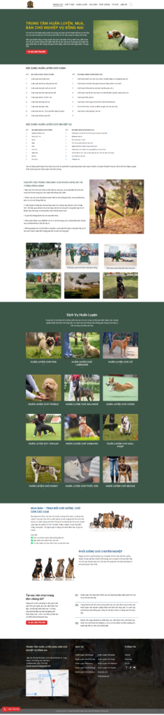 Dịch Vụ Thiết Kế Website Trọn Gói Giá Rẻ